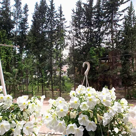 Luna Blanca - 1 Minute From The Apartment Golem (Tirana)