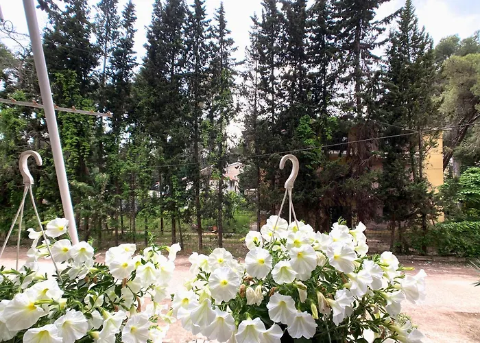 Trn Apartment Golem (Tirana)